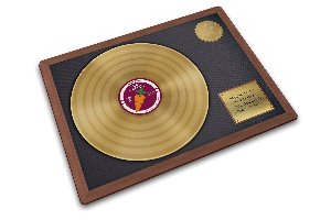 Gold Record Multifunkcionalna Podloga